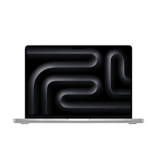 HP Monitor